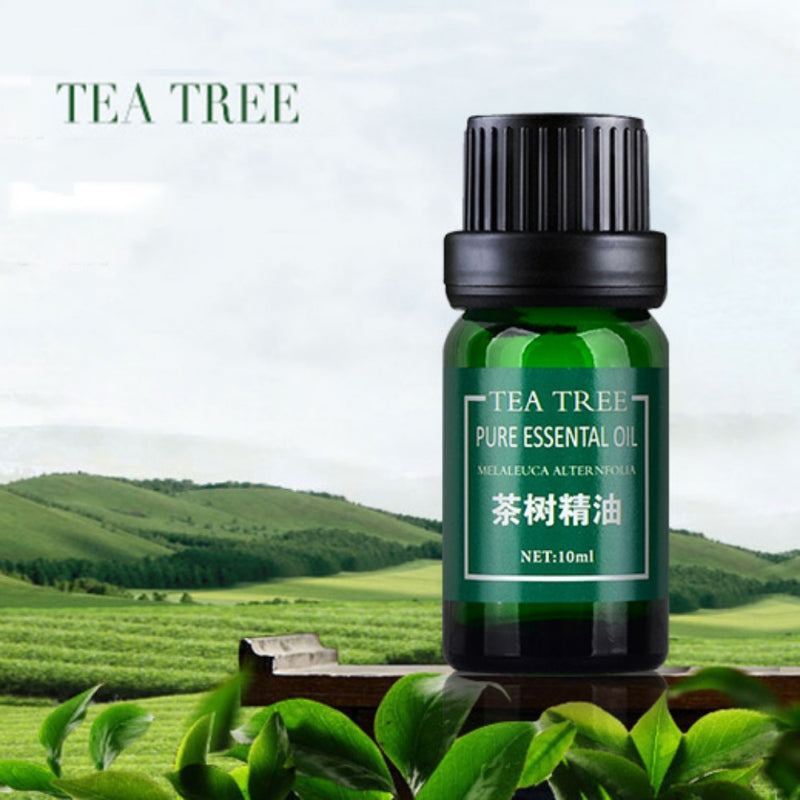 100% Pure Tea Tree Essential Oil Face Care Skin Acne Treatment Oil Blackhead Remover Anti Scar Spots Facial Beauty - BEARD CLIQUE